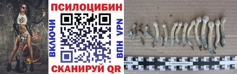 Купить закладки  Волжский  Галлюциногенные грибы прущие грибы 